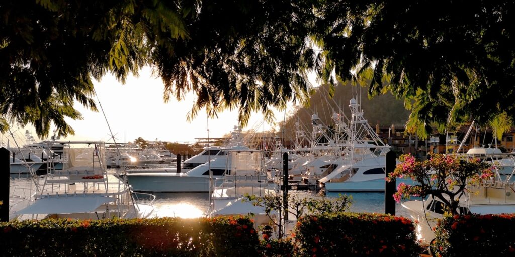 A marina filled with docked boats